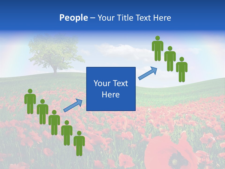 Barley Opium Field PowerPoint Template