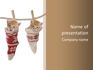 Weihnachten Jahreszeit Jung PowerPoint Template