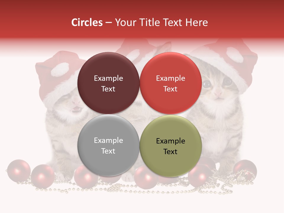 Niedlich Tier Katze PowerPoint Template