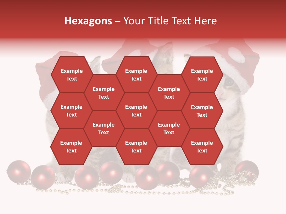 Niedlich Tier Katze PowerPoint Template