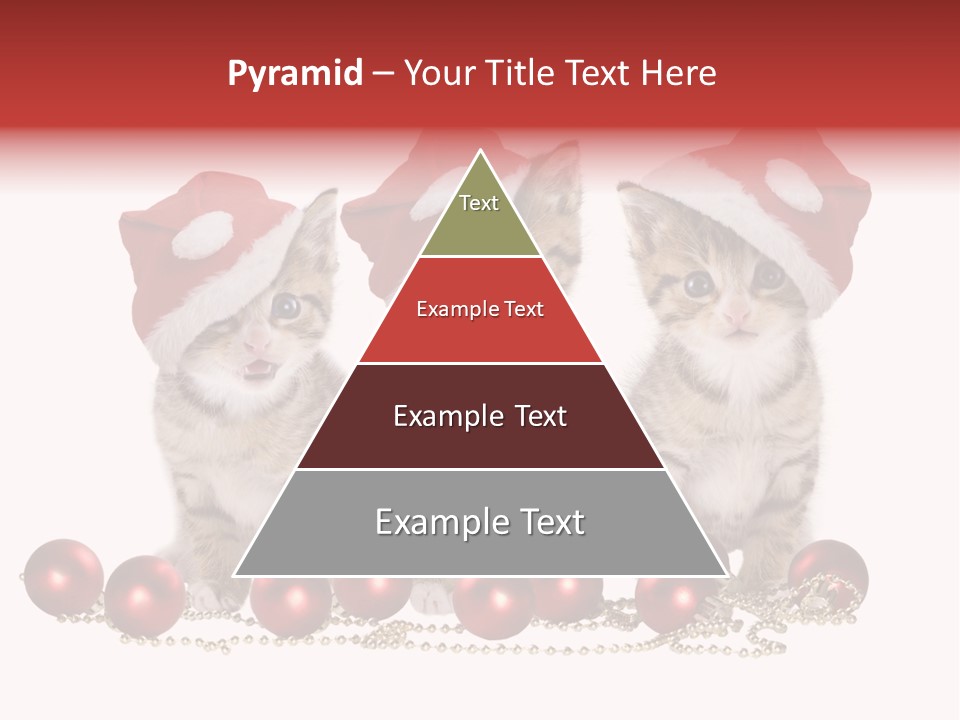 Niedlich Tier Katze PowerPoint Template