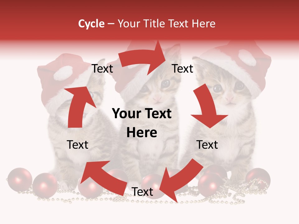 Niedlich Tier Katze PowerPoint Template