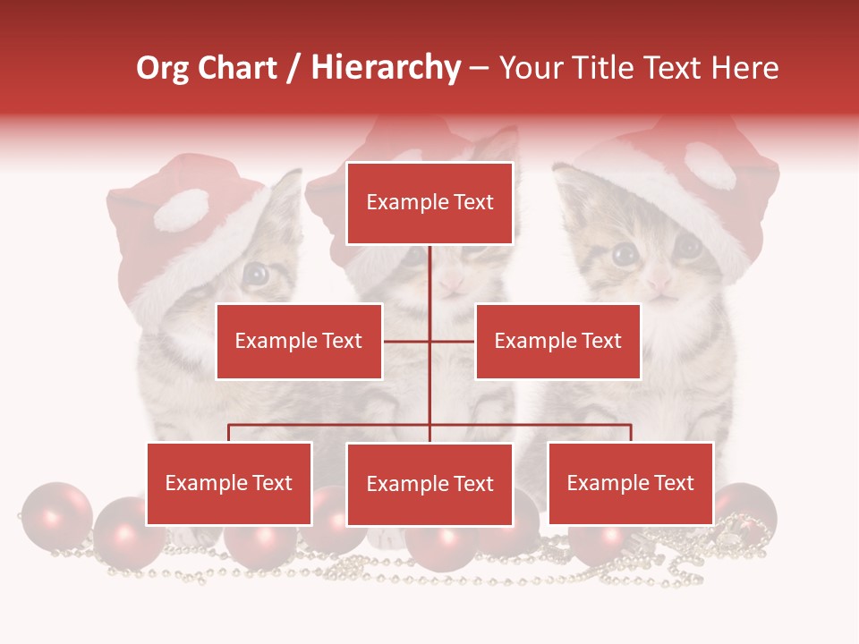 Niedlich Tier Katze PowerPoint Template