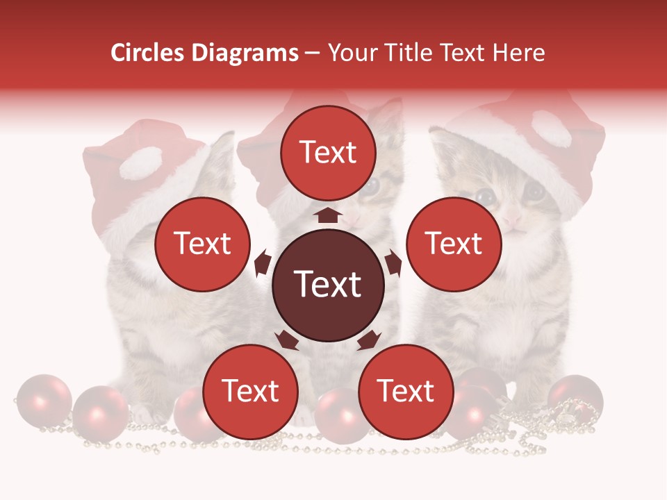 Niedlich Tier Katze PowerPoint Template