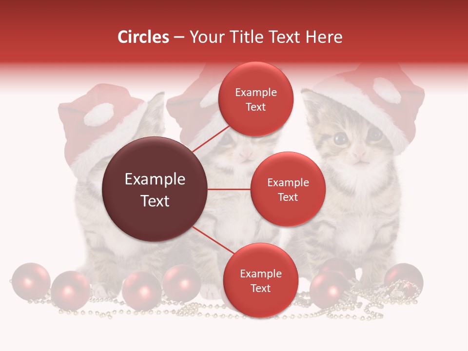 Niedlich Tier Katze PowerPoint Template