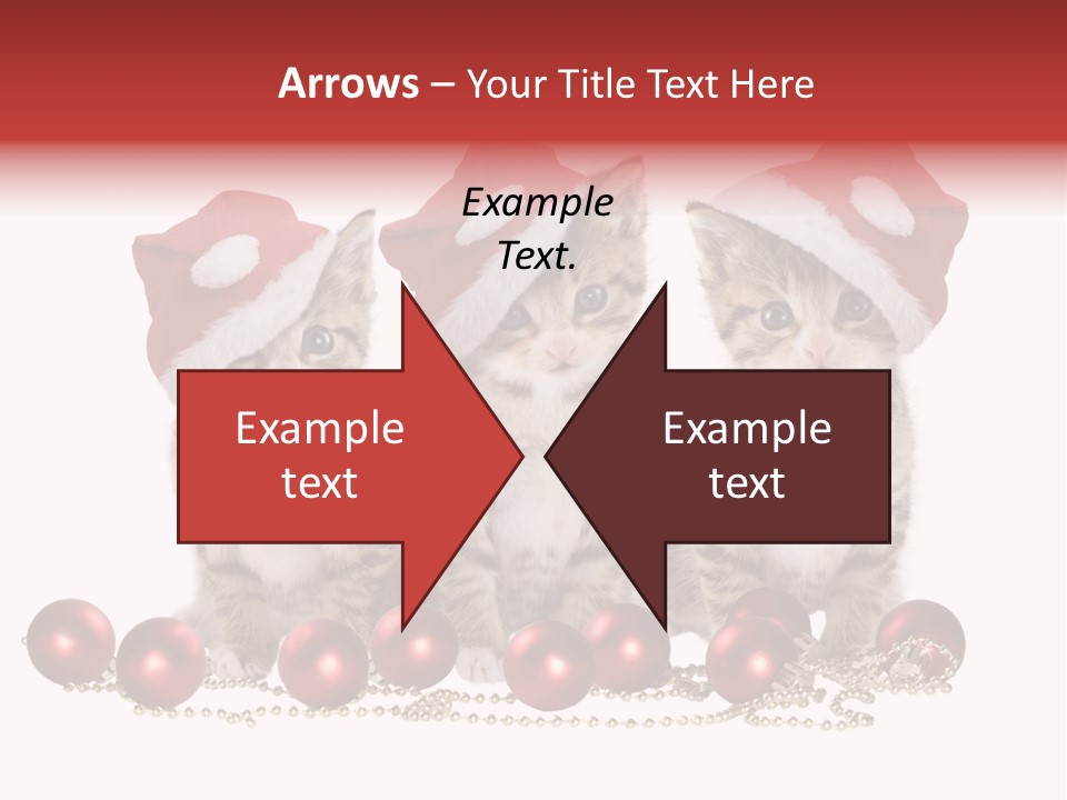 Niedlich Tier Katze PowerPoint Template