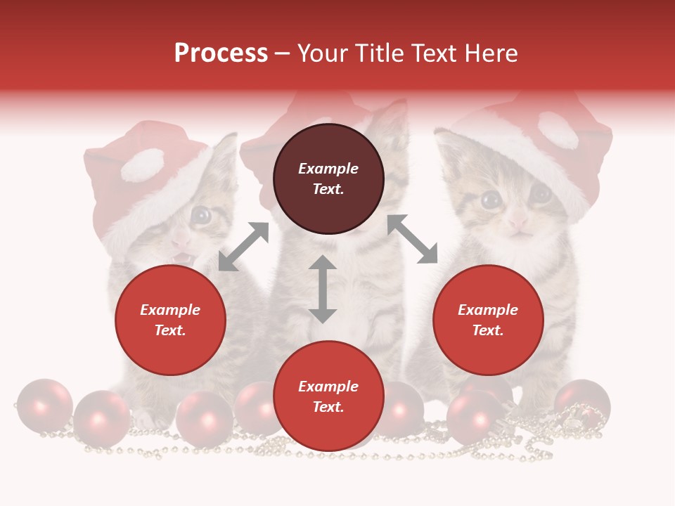 Niedlich Tier Katze PowerPoint Template