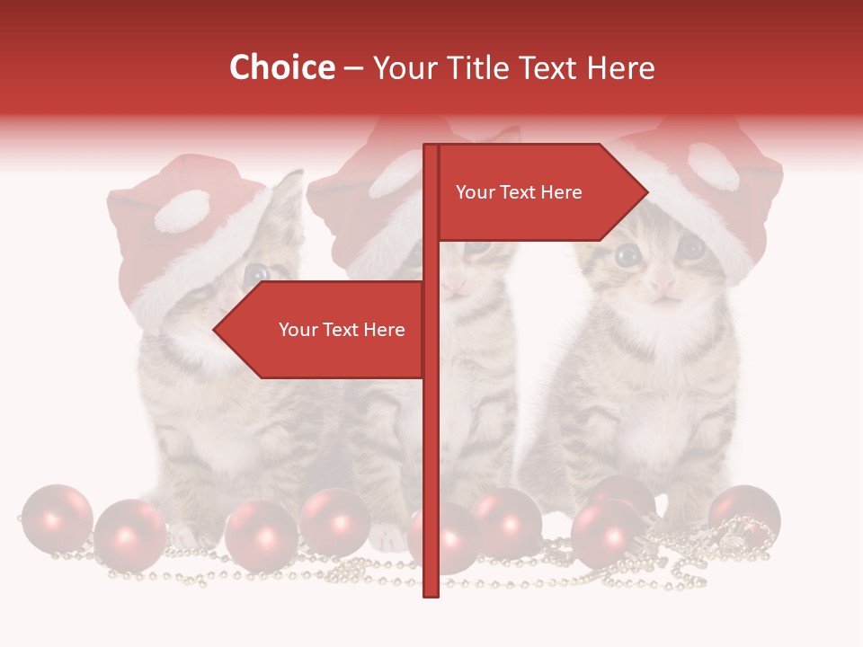 Niedlich Tier Katze PowerPoint Template