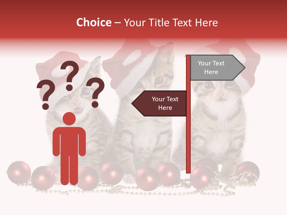 Niedlich Tier Katze PowerPoint Template