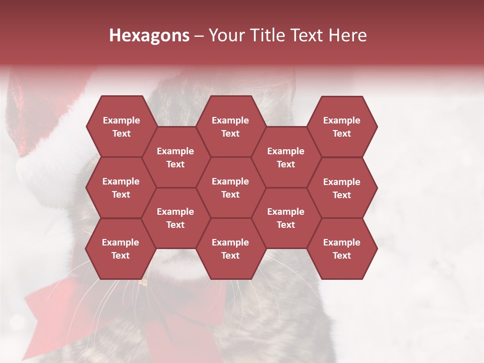 New Year Celebration Card PowerPoint Template