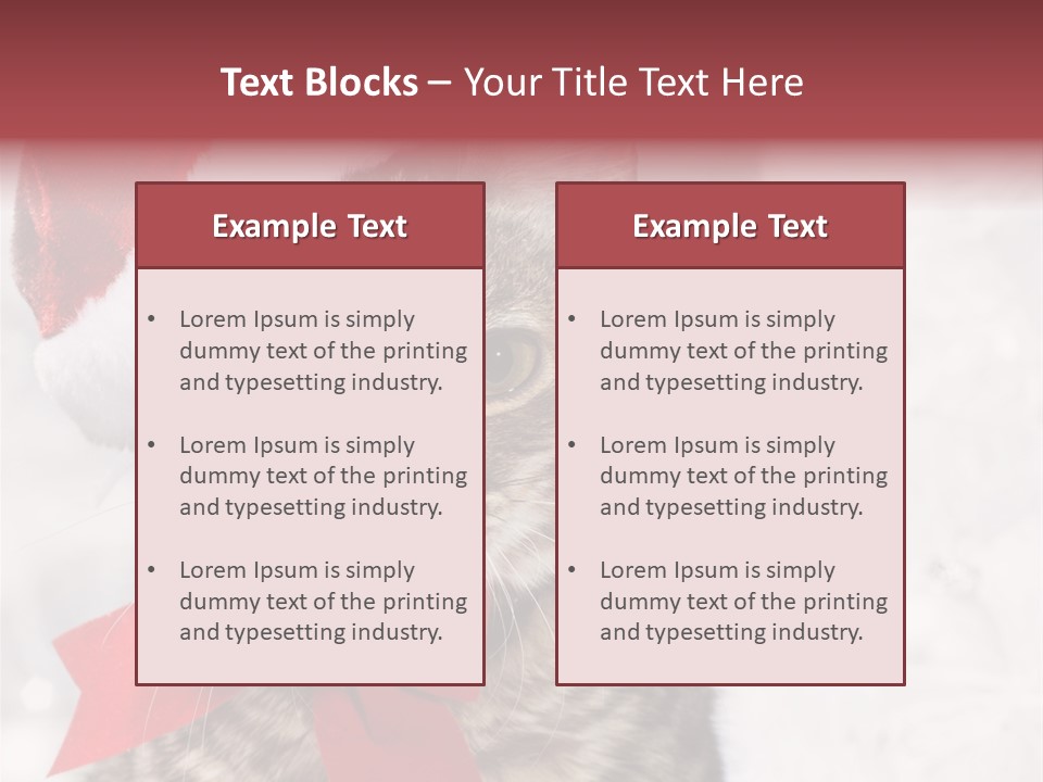 New Year Celebration Card PowerPoint Template