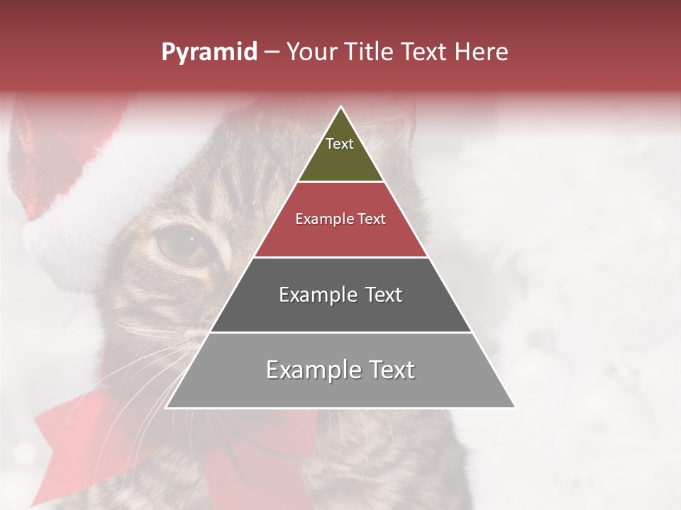 New Year Celebration Card PowerPoint Template