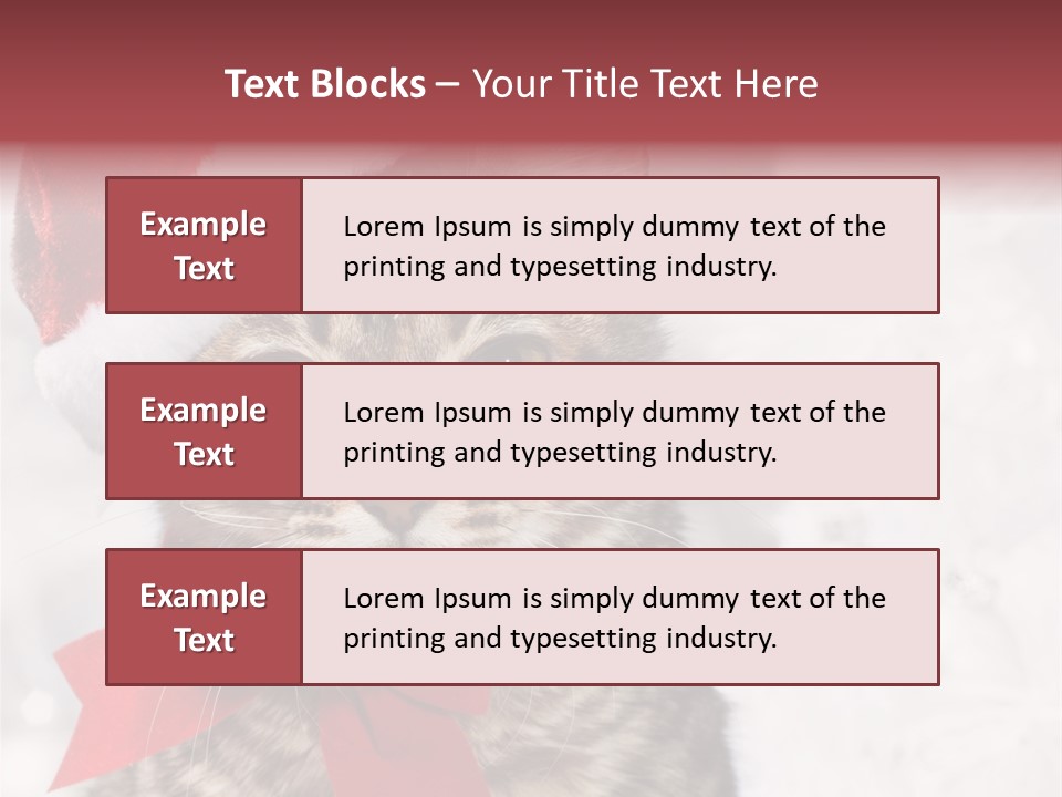 New Year Celebration Card PowerPoint Template