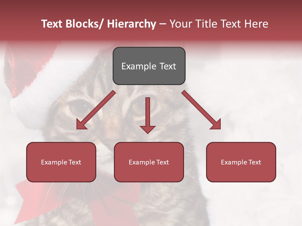 New Year Celebration Card PowerPoint Template