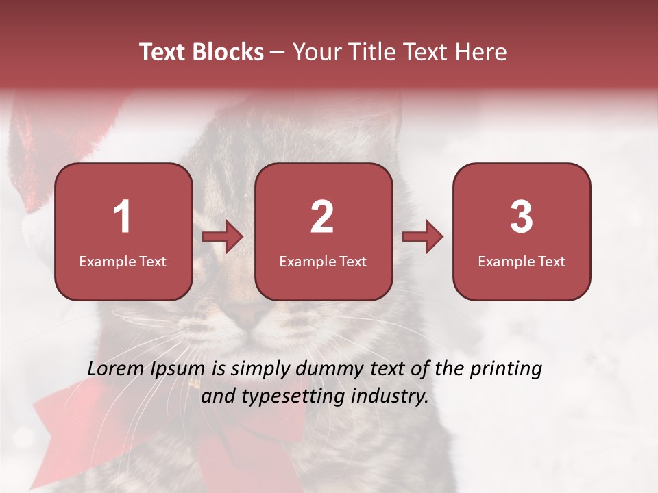 New Year Celebration Card PowerPoint Template