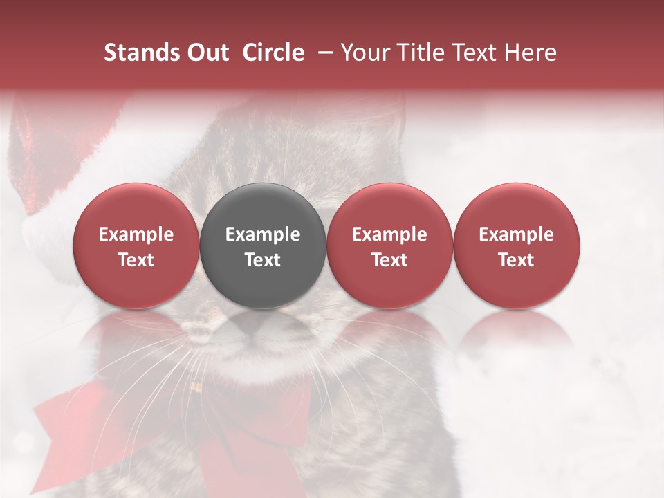 New Year Celebration Card PowerPoint Template