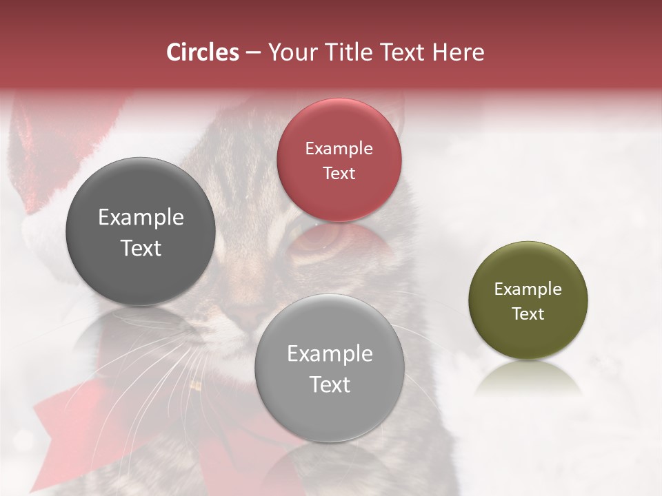 New Year Celebration Card PowerPoint Template