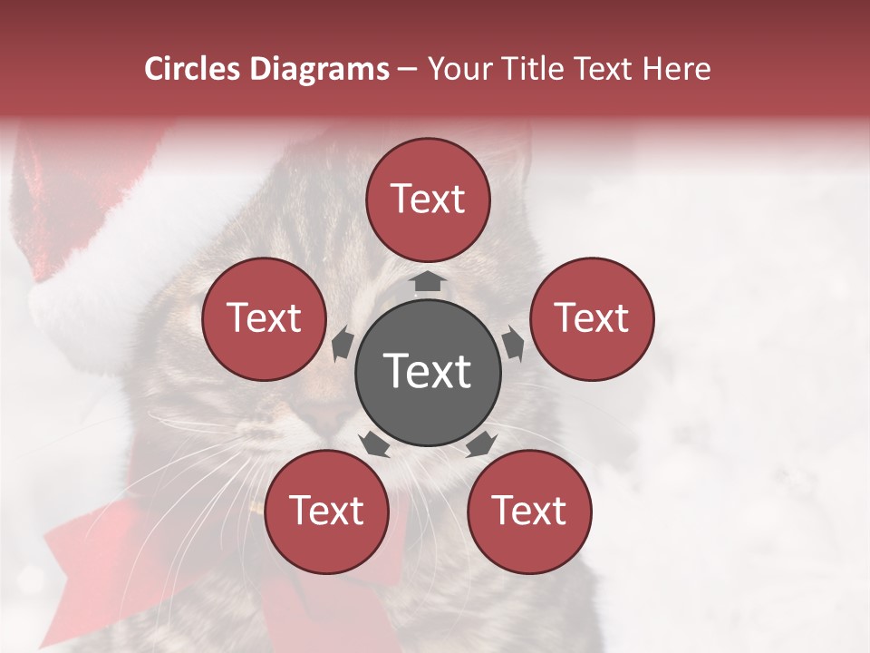 New Year Celebration Card PowerPoint Template