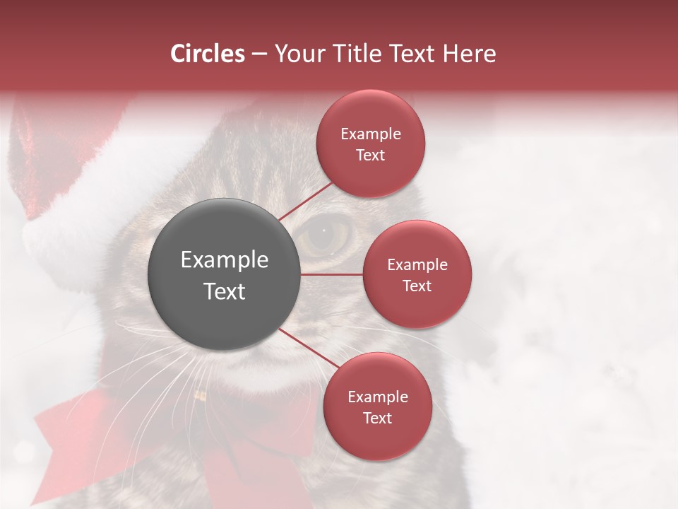 New Year Celebration Card PowerPoint Template