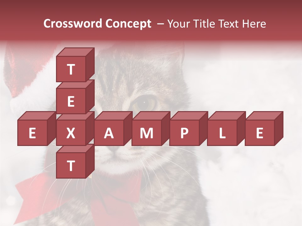 New Year Celebration Card PowerPoint Template