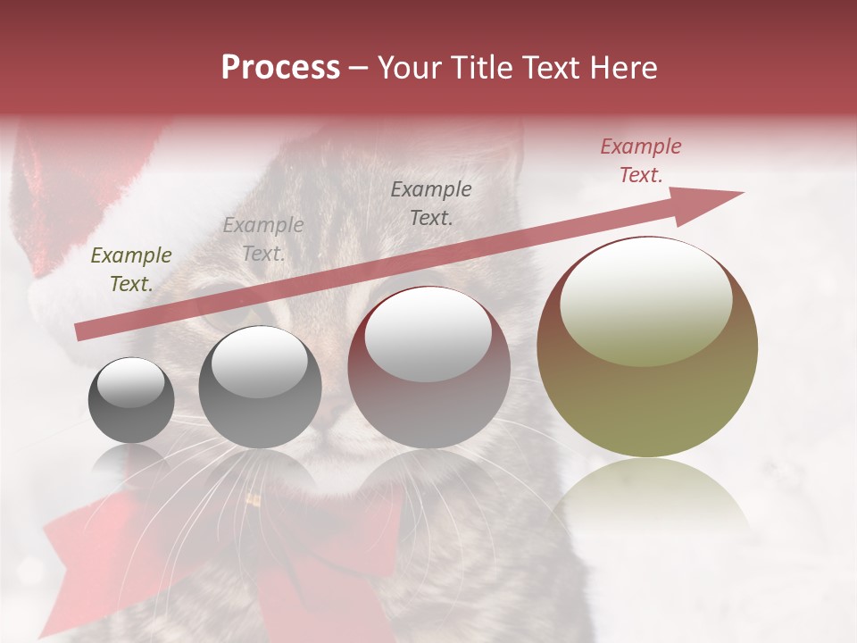 New Year Celebration Card PowerPoint Template