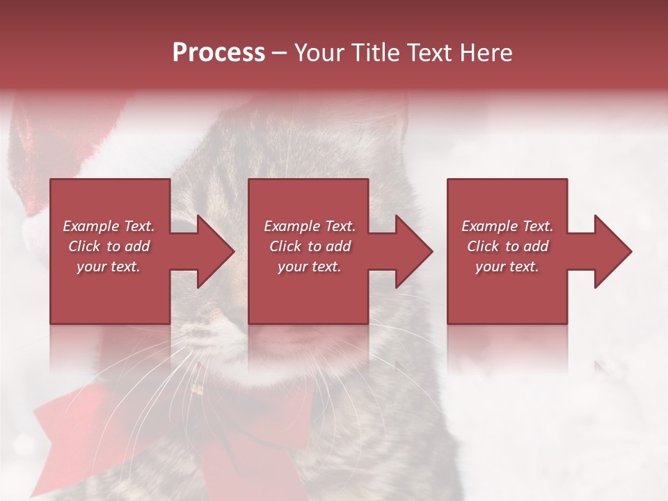 New Year Celebration Card PowerPoint Template