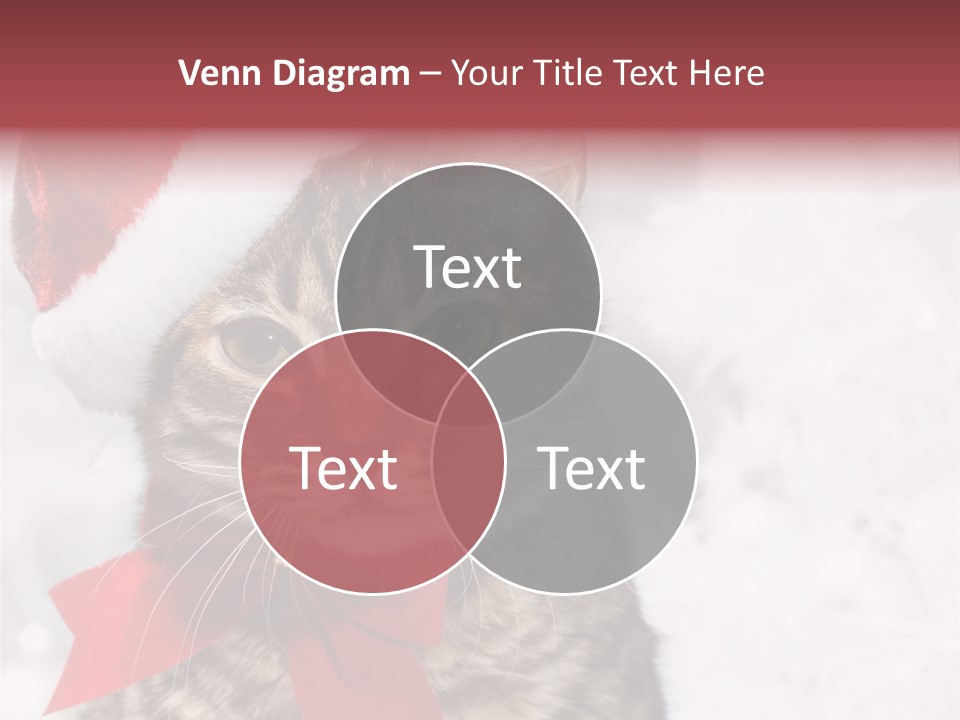 New Year Celebration Card PowerPoint Template