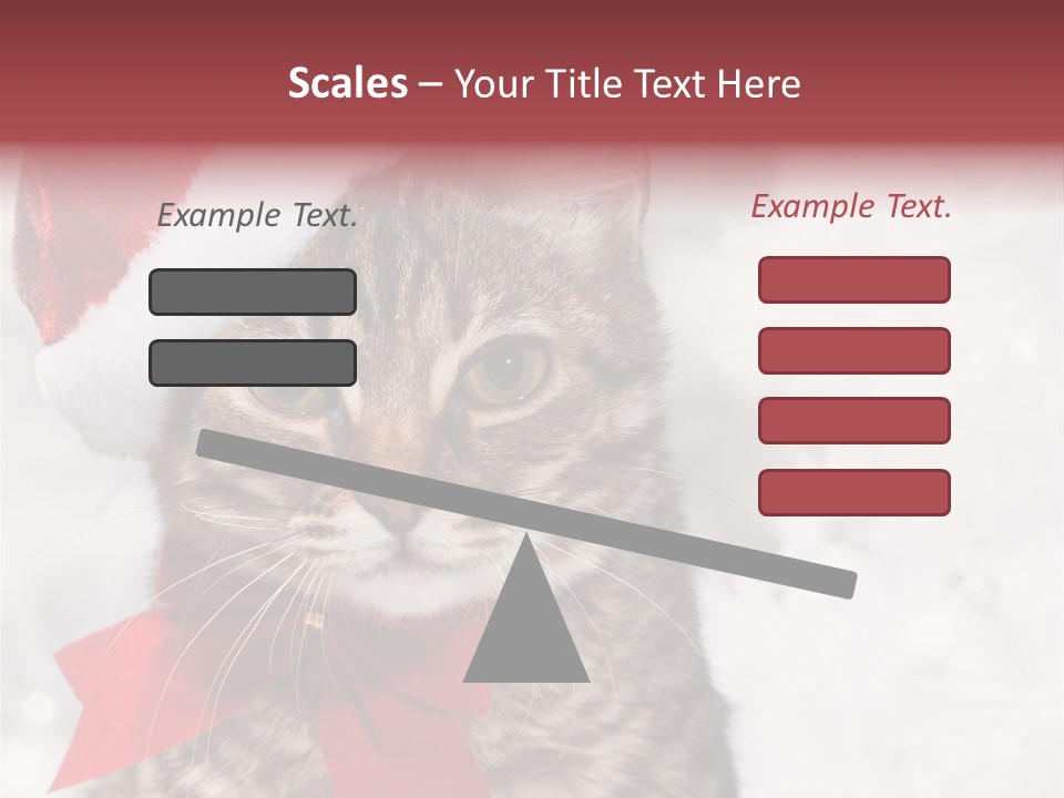 New Year Celebration Card PowerPoint Template