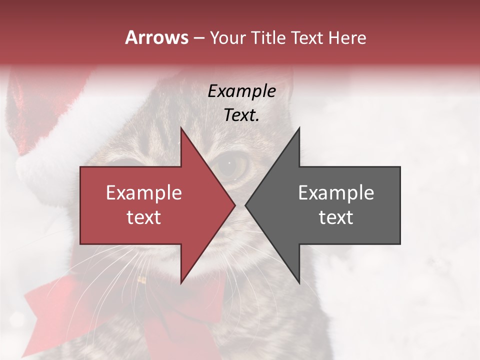 New Year Celebration Card PowerPoint Template