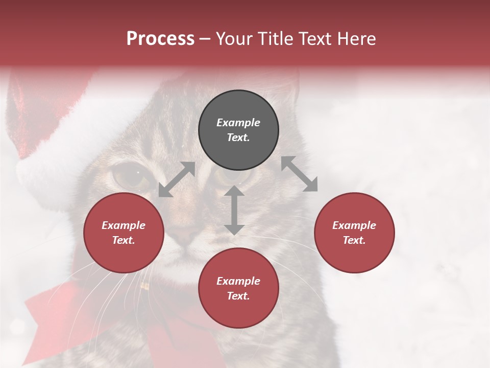 New Year Celebration Card PowerPoint Template