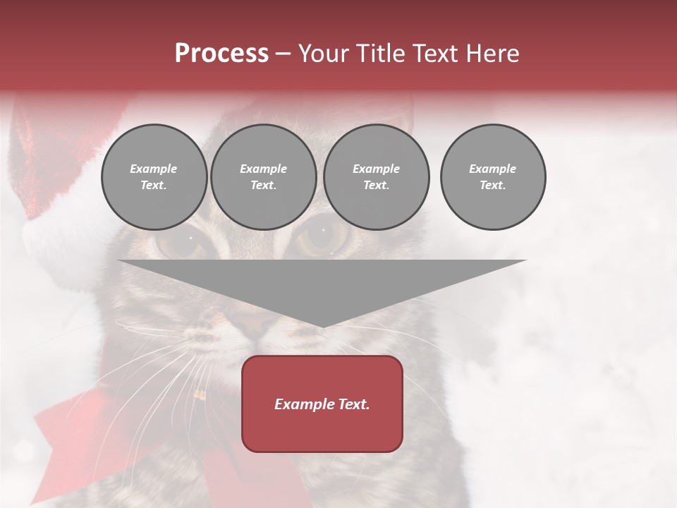 New Year Celebration Card PowerPoint Template