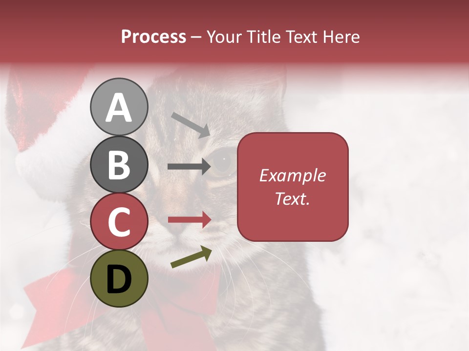 New Year Celebration Card PowerPoint Template