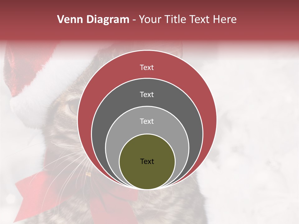 New Year Celebration Card PowerPoint Template