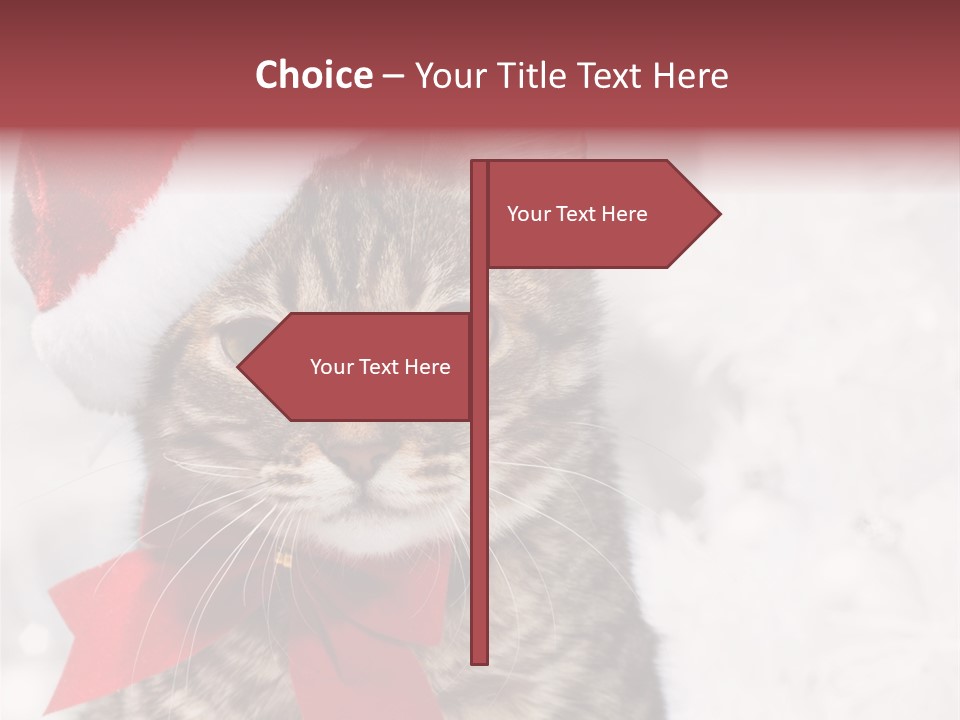 New Year Celebration Card PowerPoint Template