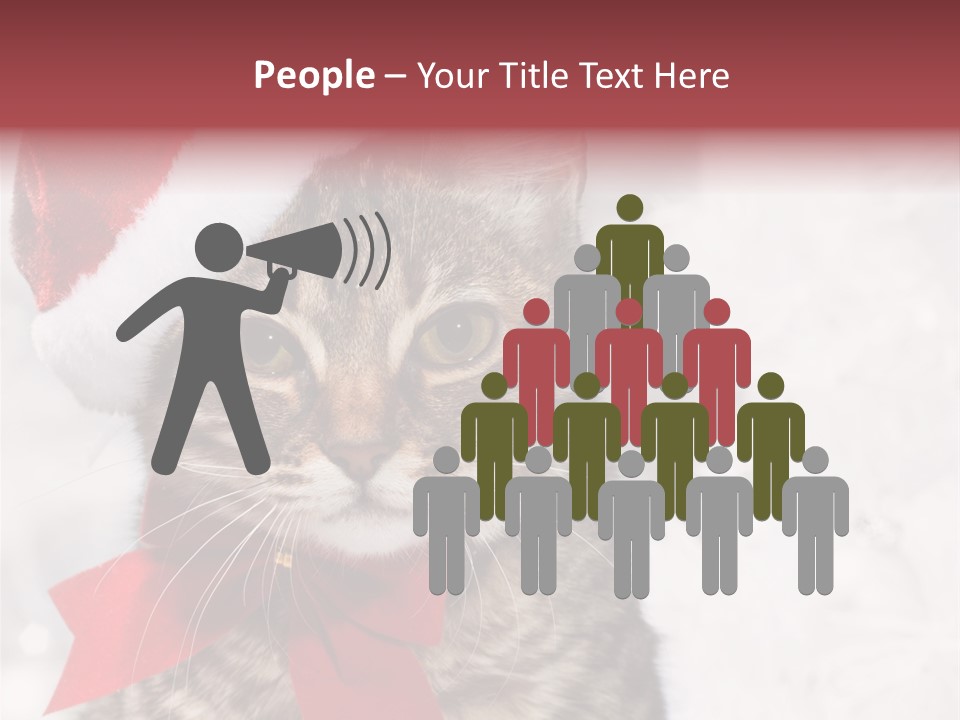 New Year Celebration Card PowerPoint Template