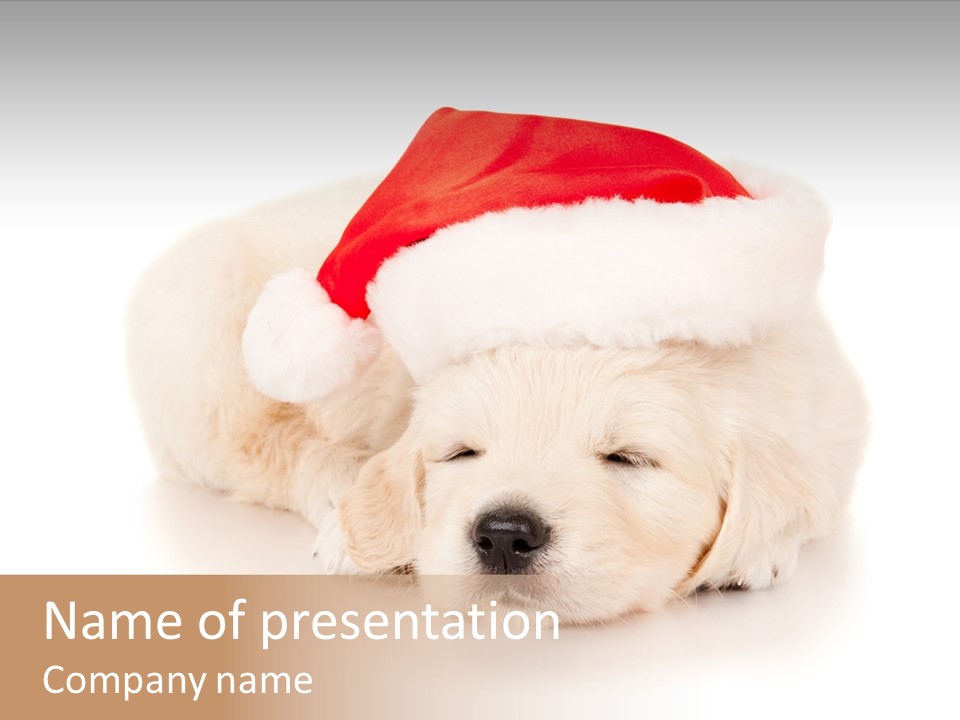 Golden Santa Small PowerPoint Template