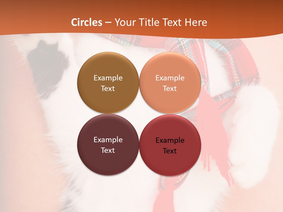 Hunting Love Grey PowerPoint Template