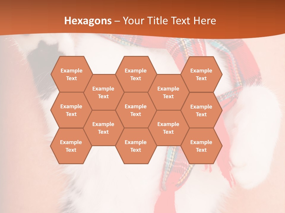 Hunting Love Grey PowerPoint Template