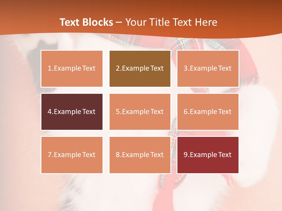 Hunting Love Grey PowerPoint Template