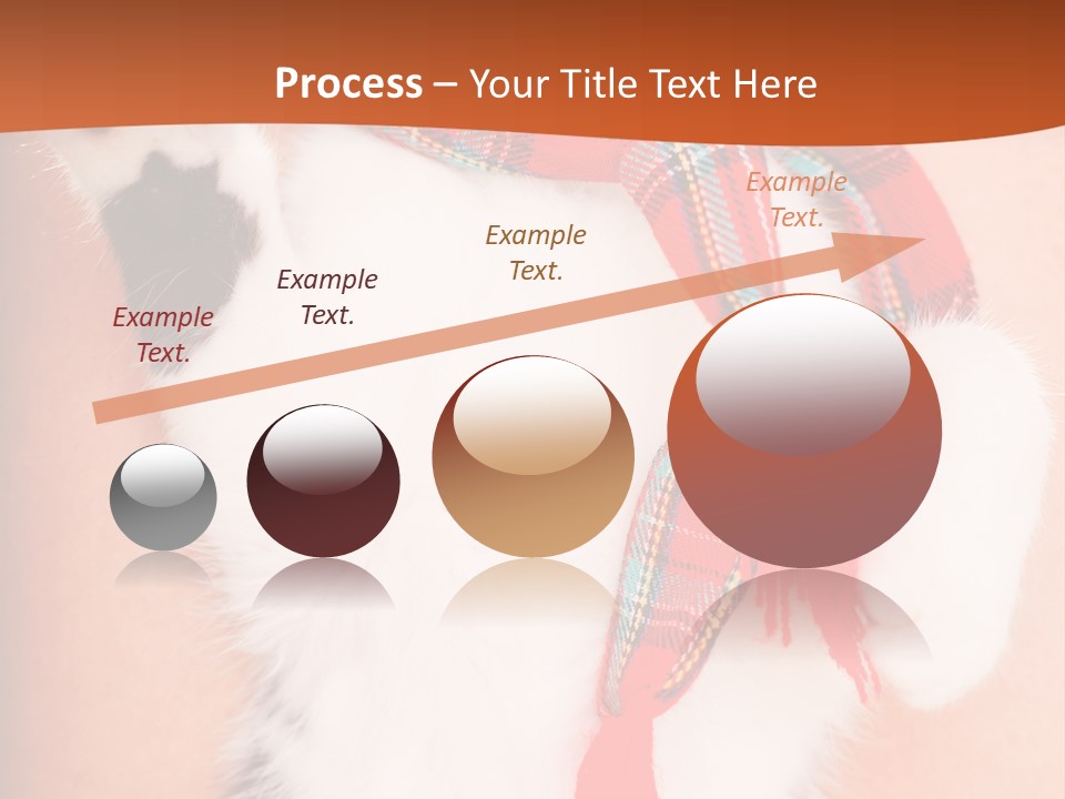 Hunting Love Grey PowerPoint Template