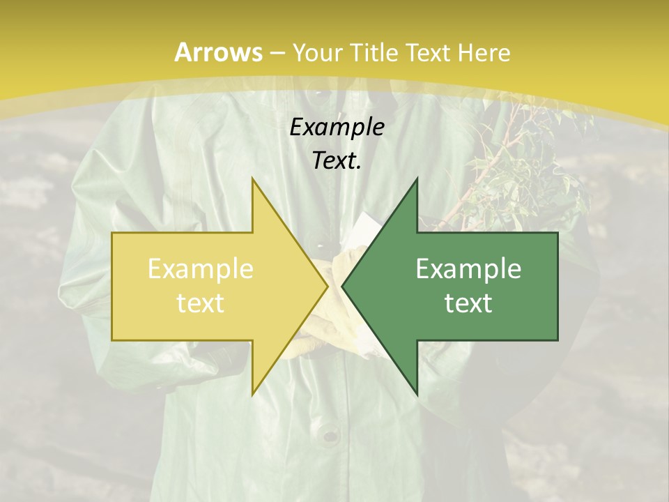 White Holding Green PowerPoint Template