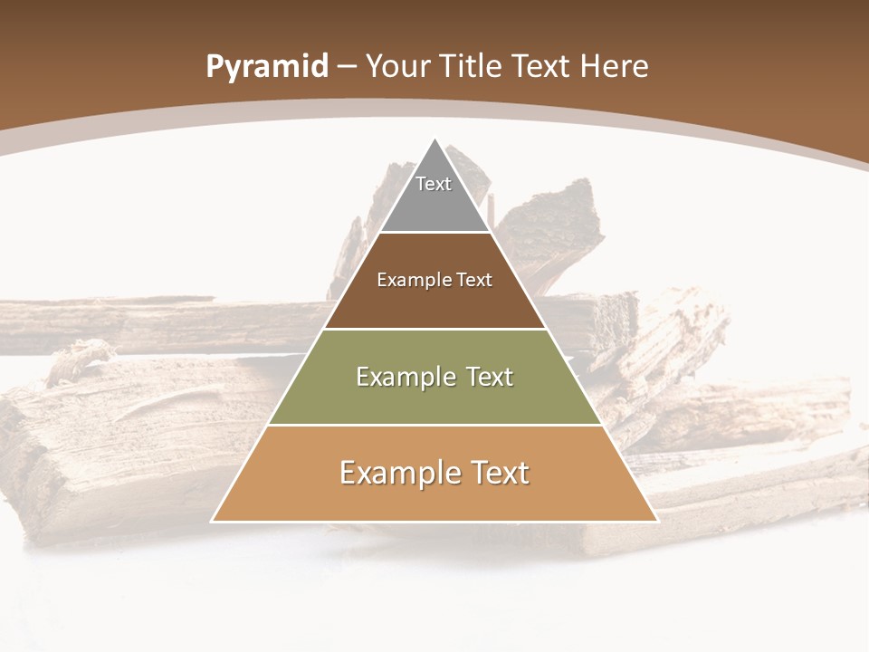Kindling Damp Cost PowerPoint Template
