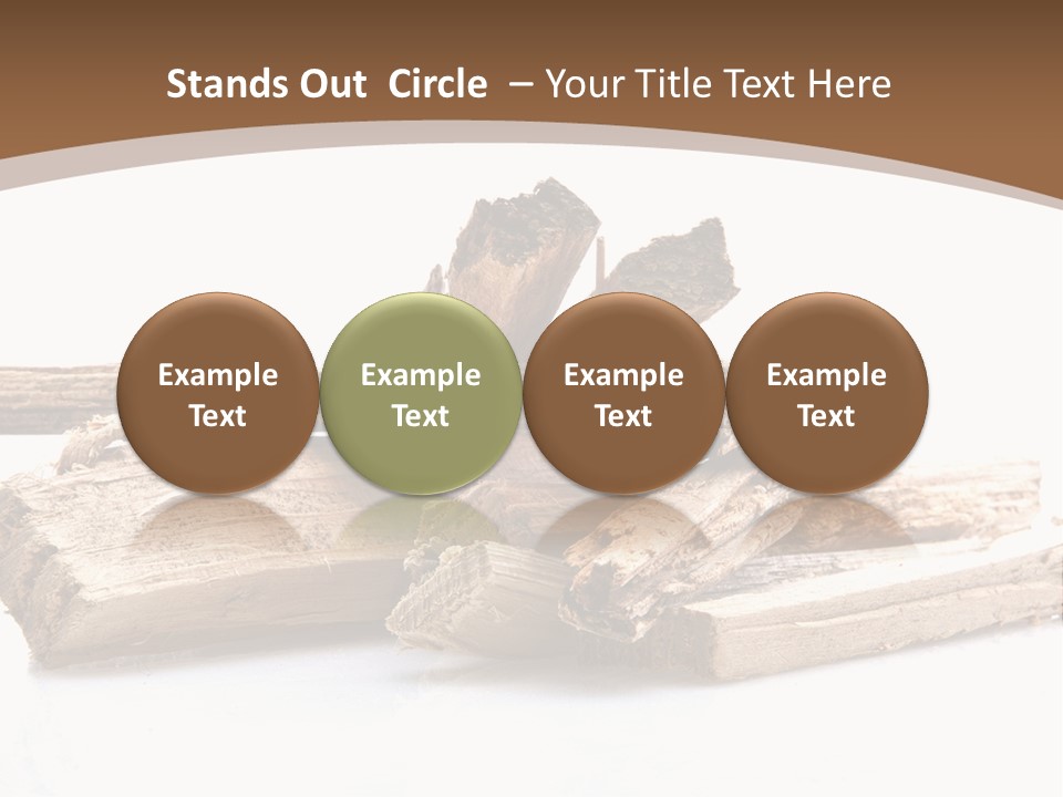 Kindling Damp Cost PowerPoint Template