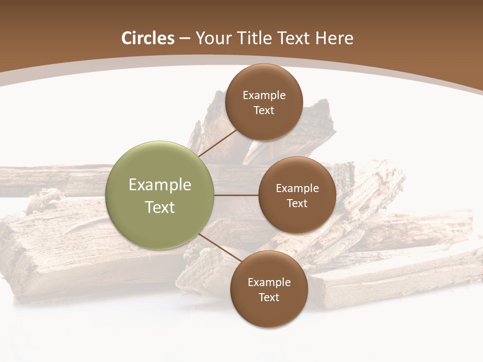 Kindling Damp Cost PowerPoint Template