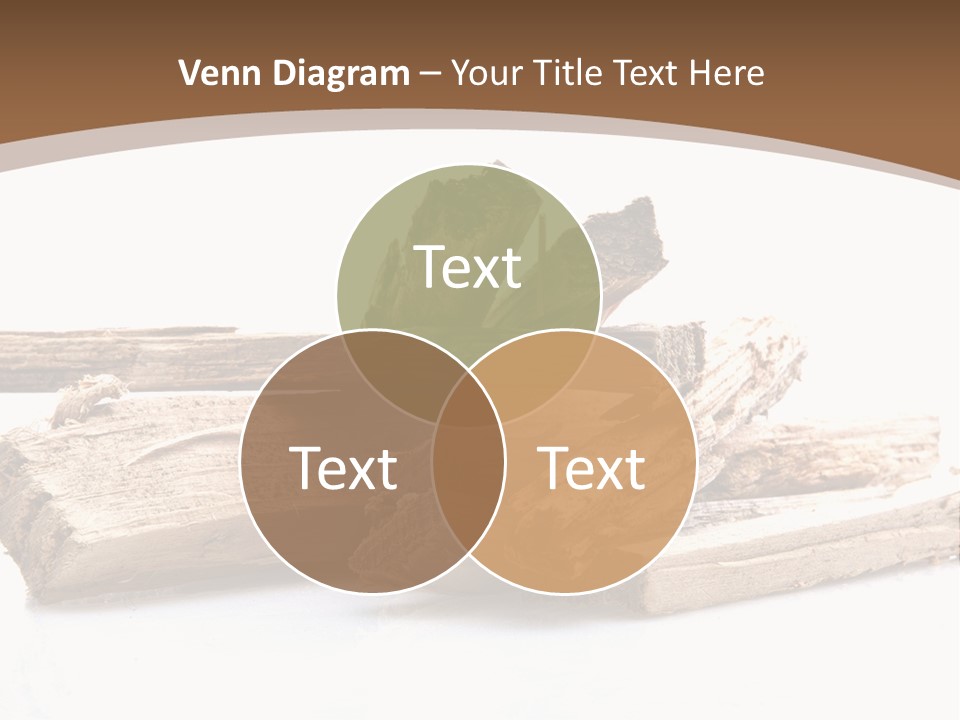 Kindling Damp Cost PowerPoint Template