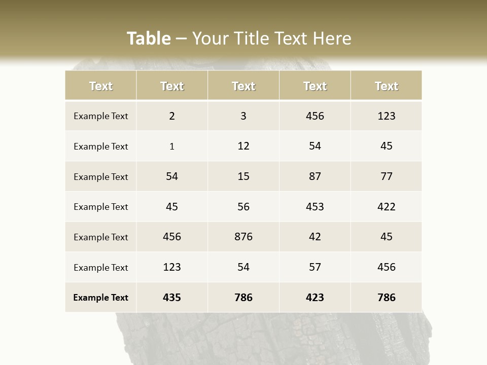 Environment Grill Dark PowerPoint Template