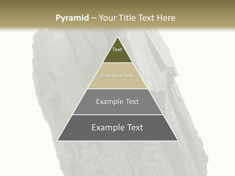 Environment Grill Dark PowerPoint Template