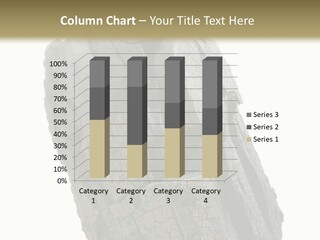 Environment Grill Dark PowerPoint Template