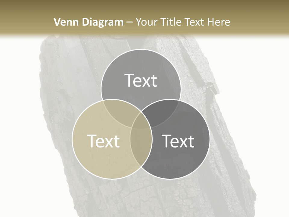 Environment Grill Dark PowerPoint Template