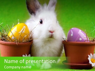 Egg Easter Bunny Lop PowerPoint Template